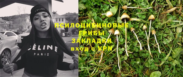 стаф Богданович