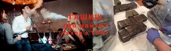 стаф Богданович