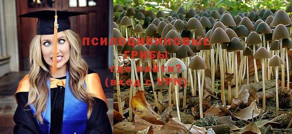 PSILOCYBIN Богородск