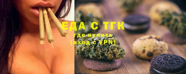 стаф Богданович