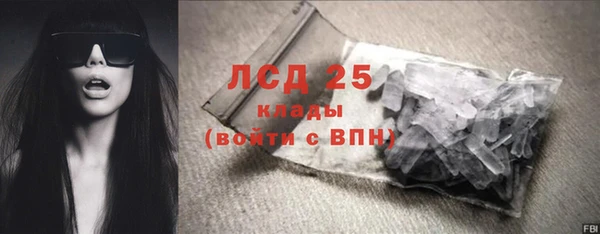 стаф Богданович