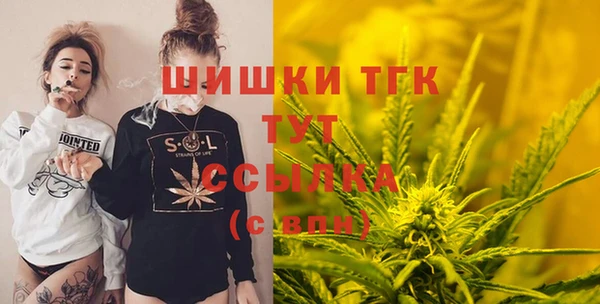 стаф Богданович