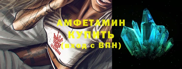 стаф Богданович
